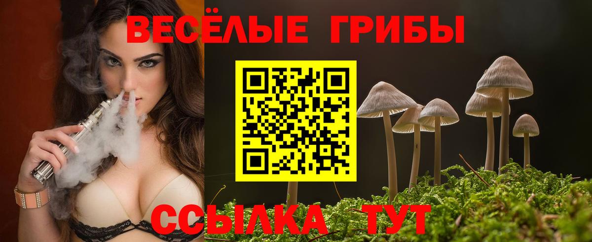 Галлюциногенные грибы прущие грибы Новошахтинск