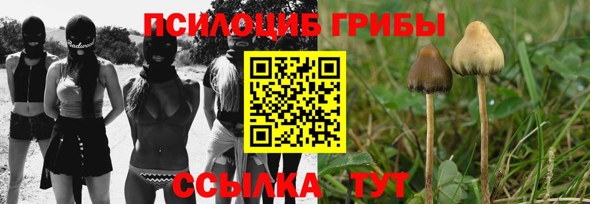 Галлюциногенные грибы прущие грибы  Вход с VPN  Новошахтинск 